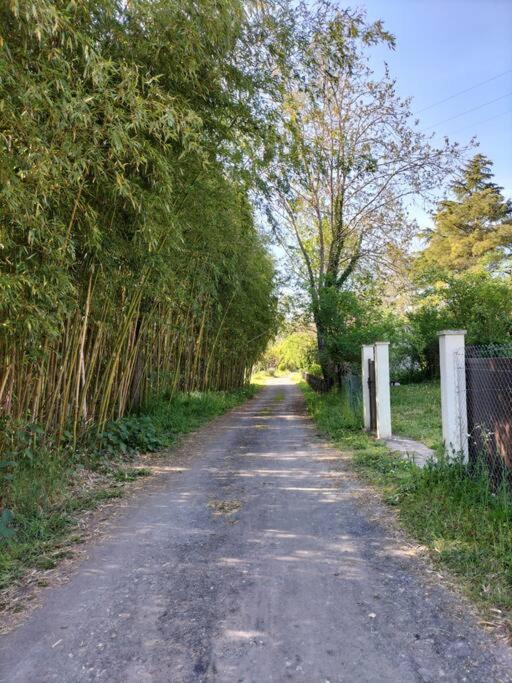 Gite O Fil Du Tarn Lescure-d'Albigeois Bagian luar foto