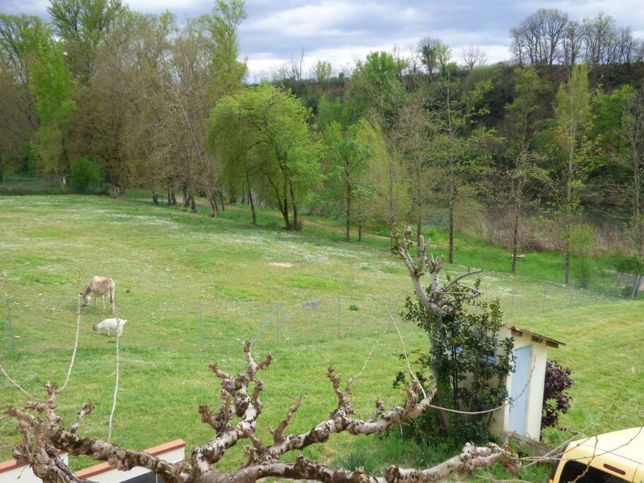 Gite O Fil Du Tarn Lescure-d'Albigeois Bagian luar foto